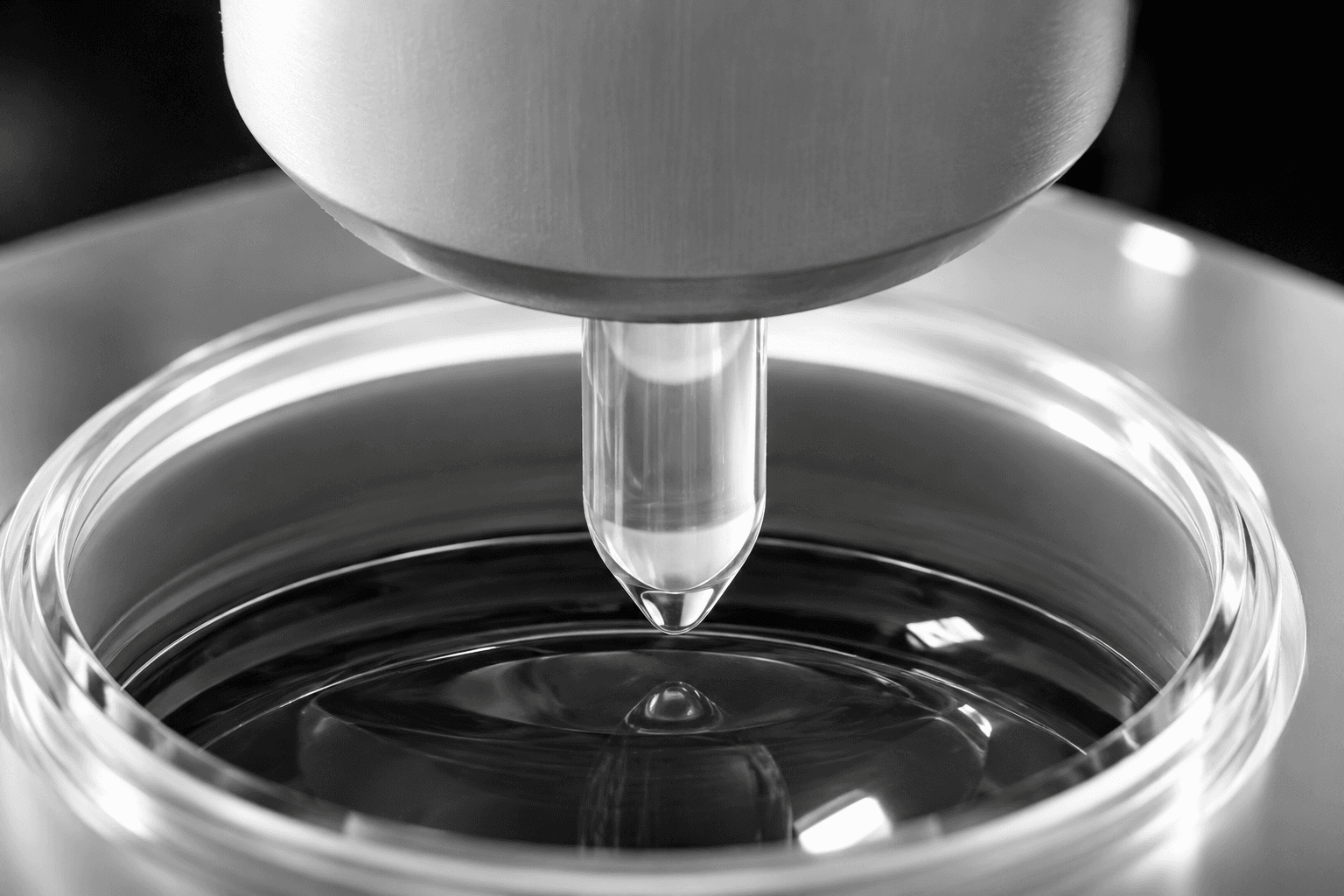 Inserimento della materia prima (polimero)